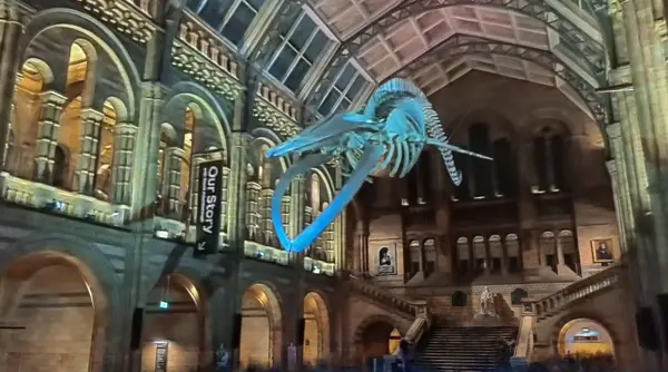 Musée d'histoire Naturelle de Londres